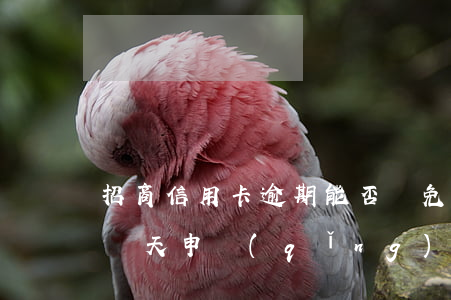 招商信用卡逾期能否減免(招商銀行分期逾期幾天申請(qǐng)減免滯納金)