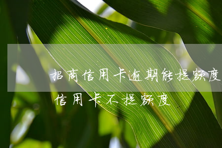 招商信用卡逾期能提额度吗(为什么招商银行信用卡不提额度)