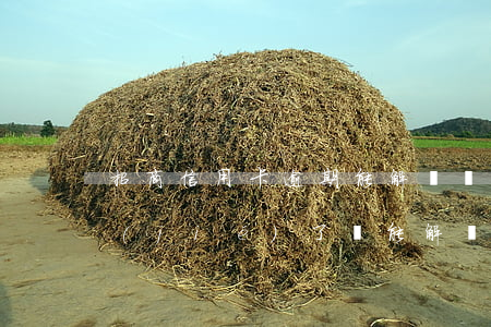 招商信用卡逾期能解凍嗎(招商信用卡被凍結(jié)了還能解凍嗎)