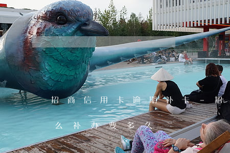 招商信用卡逾期补卡-招商的信用卡丢了怎么补办要多久