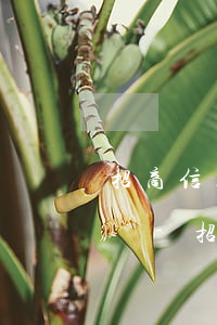 招商信用卡逾期被凍結(jié)了怎樣解凍-招商信用卡逾期被凍結(jié)了怎樣解凍呢