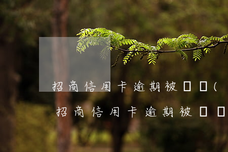 招商信用卡逾期被凍結(jié)怎么解決(招商信用卡逾期被凍結(jié)怎么解決最快)
