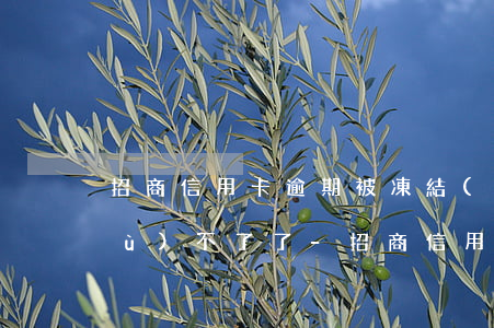 招商信用卡逾期被凍結(jié)恢復(fù)不了了-招商信用卡逾期被凍結(jié)恢復(fù)不了了怎么辦