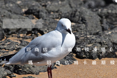 招商信用卡逾期被凍結(jié)還能解除嗎-招商信用卡逾期被凍結(jié)還能解除嗎知乎