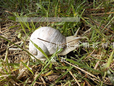 招商信用卡逾期被刑事起訴(招商欠4千信用卡會被起訴嗎)