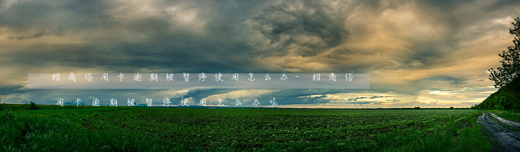 招商信用卡逾期被暂停使用怎么办-招商信用卡逾期被暂停使用怎么办呢