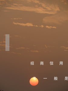 招商信用卡逾期被訴訟(招商信用卡逾期一年多一般是報警還是起訴)