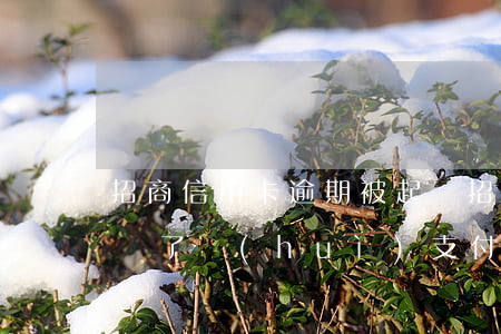 招商信用卡逾期被起訴(招商信用卡逾期被起訴了會(huì)支付寶錢會(huì)被凍結(jié)嗎)