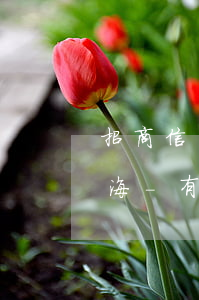 招商信用卡逾期被起訴會(huì)怎樣上海-有沒有招商信用卡逾期被告上法庭的嗎