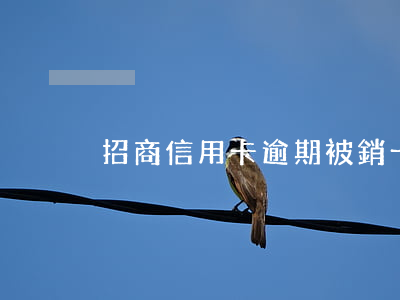 招商信用卡逾期被銷卡(招商注銷信用卡)