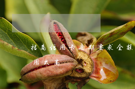 招商信用卡逾期要求全额(招商信用卡逾期费用太高)