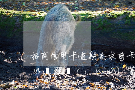 招商信用卡逾期要求剪卡(招商信用卡逾期可以辦理儲(chǔ)蓄卡嗎?)