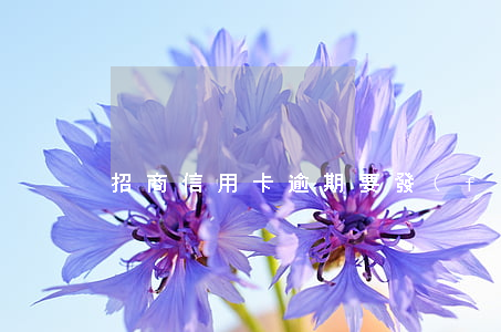招商信用卡逾期要發(fā)送信函