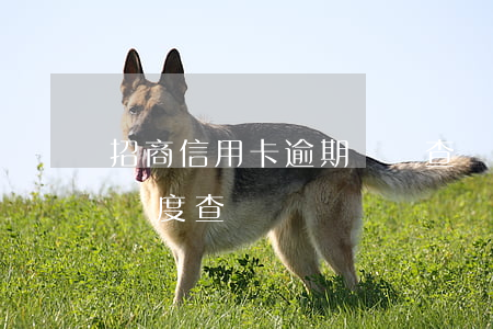 招商信用卡逾期記錄查詢-招商銀行信用卡進度查詢