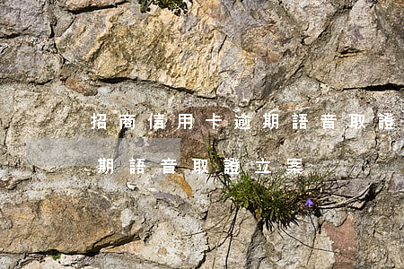 招商信用卡逾期語音取證立案(招商信用卡逾期語音取證立案)