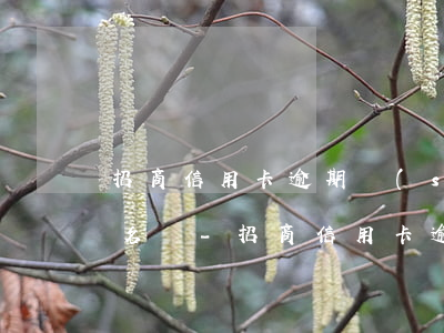 招商信用卡逾期說(shuō)上失信人員名單-招商信用卡逾期說(shuō)上失信人員名單是真的嗎