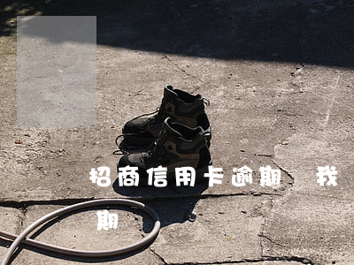招商信用卡逾期說我惡意透支(招商信用卡 逾期)