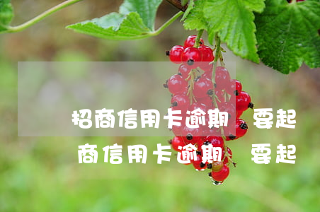 招商信用卡逾期說要起訴真的起訴了嗎-招商信用卡逾期說要起訴真的起訴了嗎