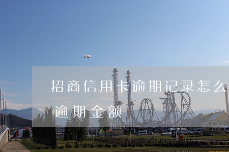 招商信用卡逾期记录怎么看-怎么查信用卡逾期金额