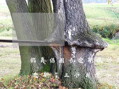 招商信用卡逾期说移交到法院了-招商银行逾期了三个月说今天还不上要移交法院