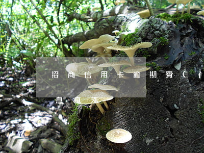 招商信用卡逾期費(fèi)率(招商逾期利息瘋漲)