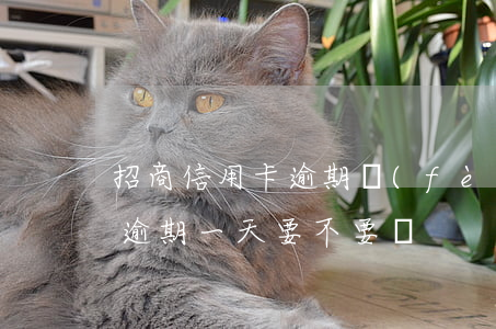招商信用卡逾期費(fèi)用(招商信用卡逾期一天要不要緊)