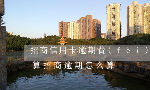 招商信用卡逾期費(fèi)用計(jì)算(招商逾期怎么算)