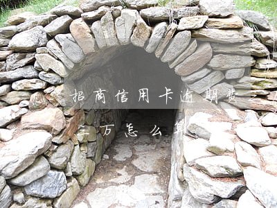 招商信用卡逾期费三万-招商信用卡逾期费三万怎么算