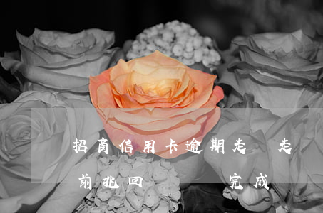 招商信用卡逾期走訪走訪(招商信用卡成功的前兆回訪電話完成)