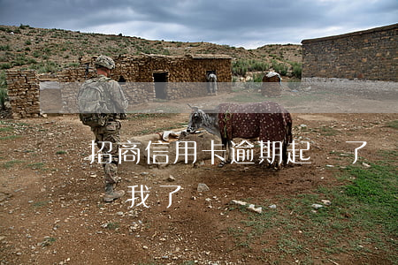 招商信用卡逾期起訴了會怎樣-招商逾期起訴我了