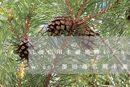 招商信用卡逾期轉(zhuǎn)入法務(wù)部(招商信用卡逾期轉(zhuǎn)法務(wù)部的都怎么樣了)