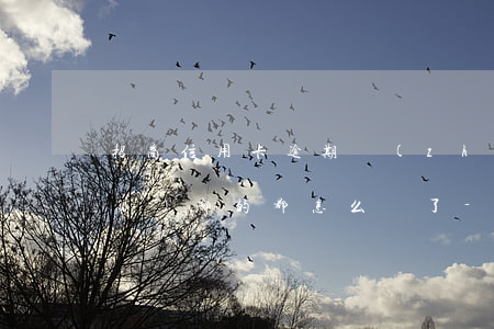 招商信用卡逾期轉(zhuǎn)法務(wù)部的都怎么樣了-欠招商銀行信用卡5000轉(zhuǎn)法務(wù)部是真的嗎?