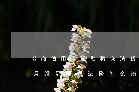 招商信用卡逾期轉交法務部門(招商逾期兩個月說是要轉法務怎么辦)