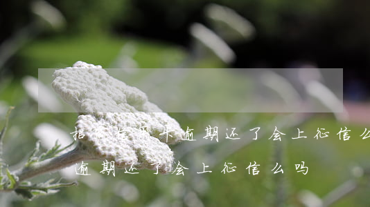招商信用卡逾期还了会上征信么 招商信用卡逾期还了会上征信么吗