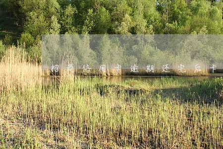 招商信用卡逾期还完后卡片异常