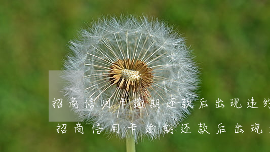 招商信用卡逾期还款后出现违约金合法吗-招商信用卡逾期还款后出现违约金合法吗怎么办