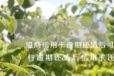 招商信用卡逾期还清后可以退息吗-招商银行逾期还清后信用卡还可以用吗