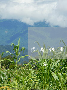 招商信用卡逾期過(guò)還會(huì)提額嗎-招商銀行的信用卡逾期了,要全額還清嗎