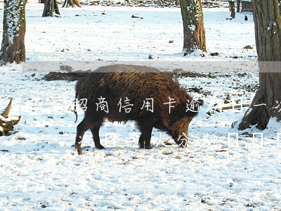 招商信用卡逾期過一次(招商信用卡逾期過一次還可以分期購車嗎)