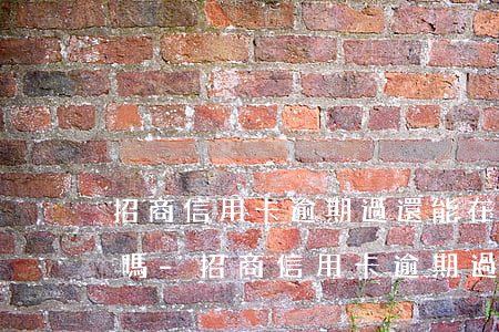 招商信用卡逾期過還能在申請(qǐng)嗎-招商信用卡逾期過還能在申請(qǐng)嗎知乎