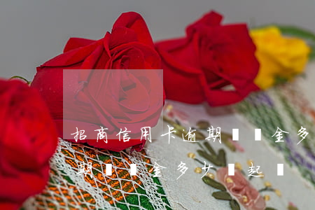 招商信用卡逾期違約金多少錢(招商信用卡逾期違約金多少錢起訴)
