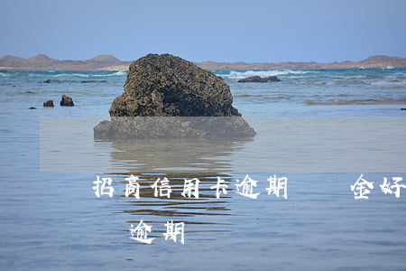 招商信用卡逾期違約金好黑(招商信用卡13萬逾期)