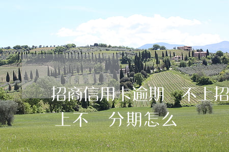 招商信用卡逾期還不上(招商信用卡逾期還不上不讓分期怎么辦)