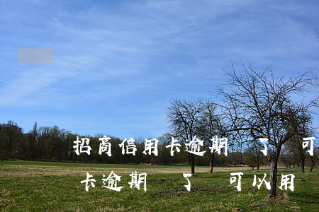 招商信用卡逾期還了還可以用嗎-招商信用卡逾期還了還可以用嗎現(xiàn)在