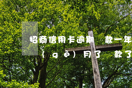 招商信用卡逾期還款一年(招商信用卡逾期幾個(gè)月了 還款了還能用嗎)