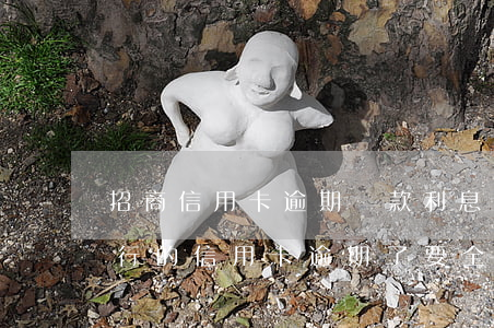招商信用卡逾期還款利息怎么算的-招商銀行的信用卡逾期了,要全額還清嗎