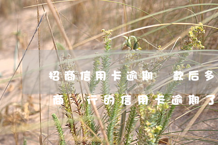 招商信用卡逾期還款后多久恢復(fù)(招商銀行的信用卡逾期了,要全額還清嗎)
