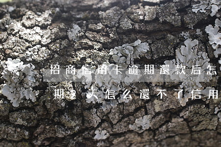 招商信用卡逾期還款后怎么還-招商銀行逾期2天怎么還不了信用卡