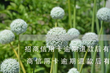 招商信用卡逾期還款后有額度能否使用-招商信用卡逾期還款后有額度能否使用借唄
