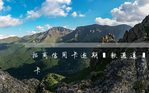 招商信用卡逾期還款通道關閉 招行關閉信用卡